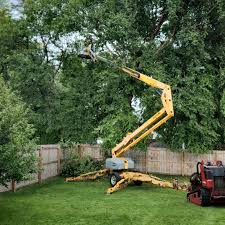 Best Aeration Services  in Port Neches, TX