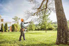 Best Emergency Tree Removal  in Port Neches, TX