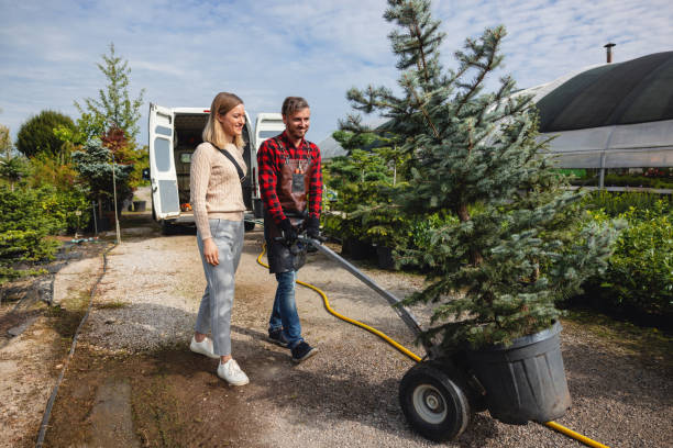 Best Palm Tree Trimming  in Port Neches, TX